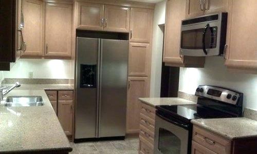 Built In and Cabinet Size Refrigerator